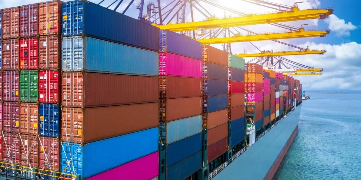 Custom Container Solutions for Modern Lifestyle & Business Needs