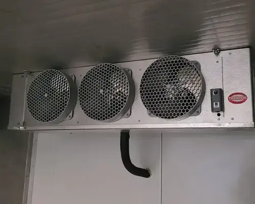 Single-Phase 20ft Refurbished Refrigerated Container Medium Temp